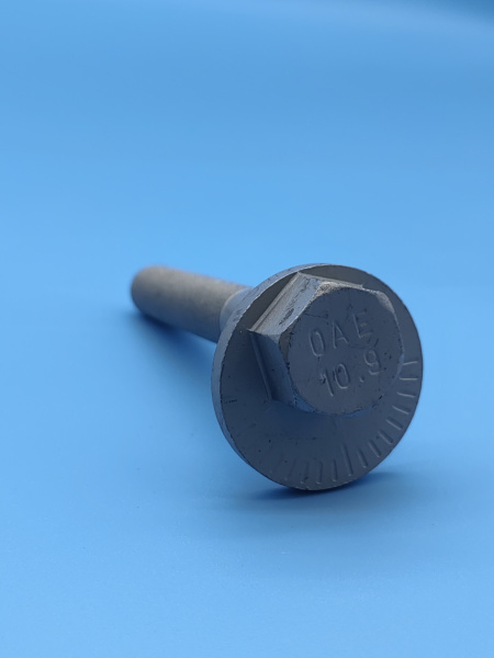 Болт эксцентрик заднего бумеранга Chery Tiggo 7 Pro Max FQ140D1276TF61K