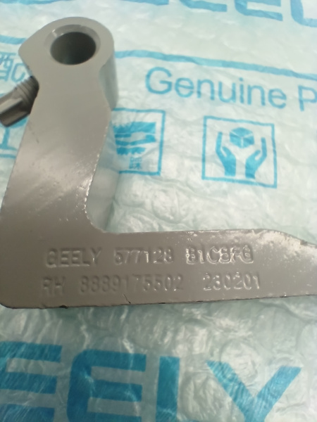 Петля двери передней П Geely Monjaro