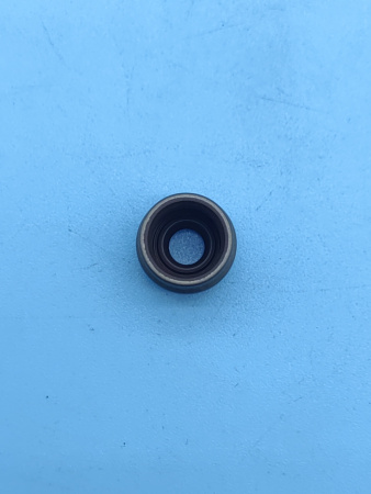 Сальник впускного клапана Geely Coolray Monjaro 1030022200