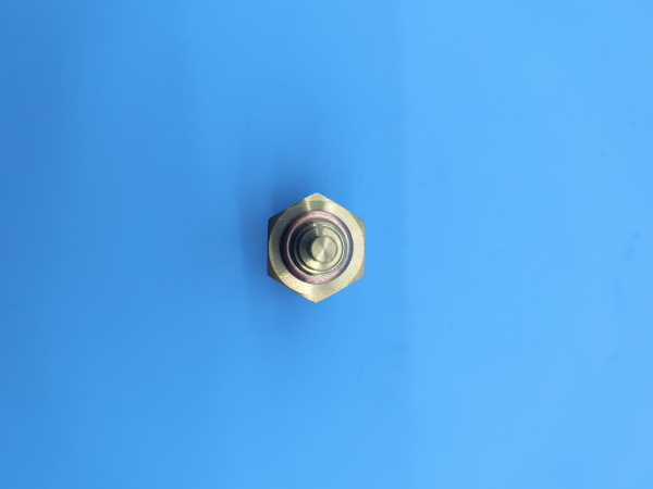 Датчик температуры радиатора Voyah Free 100019002