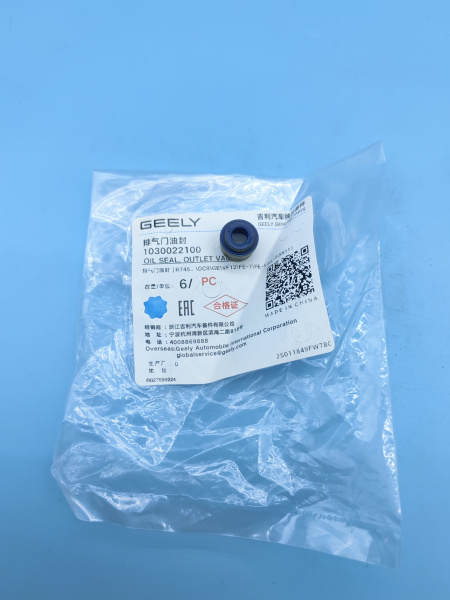 Сальник выпускного клапана Geely Coolray Monjaro 1030022100