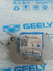 Петля задней двери нижняя П Geely Monjaro