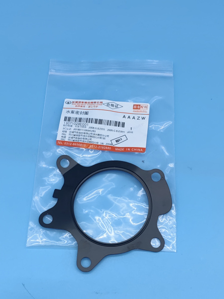 Прокладка помпы Haval Jolion 1307102XEG01
