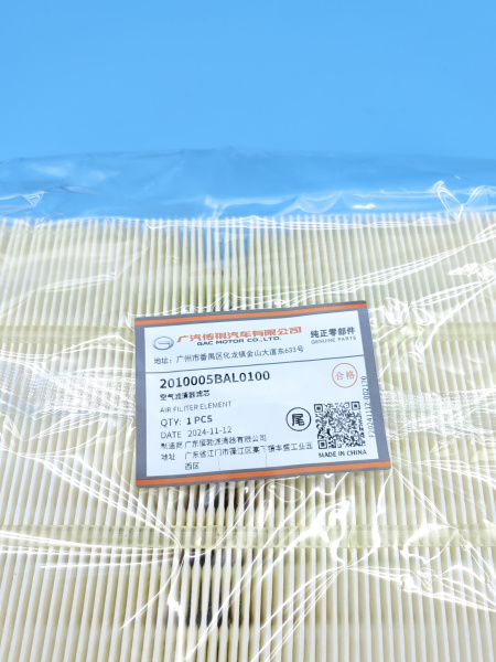 Фильтр воздушный Gac GS8 2010005BAL0100