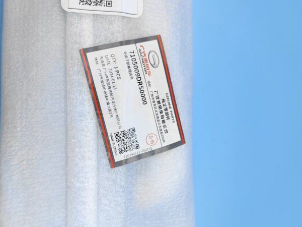 Вставка в нижнюю накладку переднего бампера центральная Gac GS8 7105009DRS0000